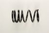 FORD 4067093 Coil Spring